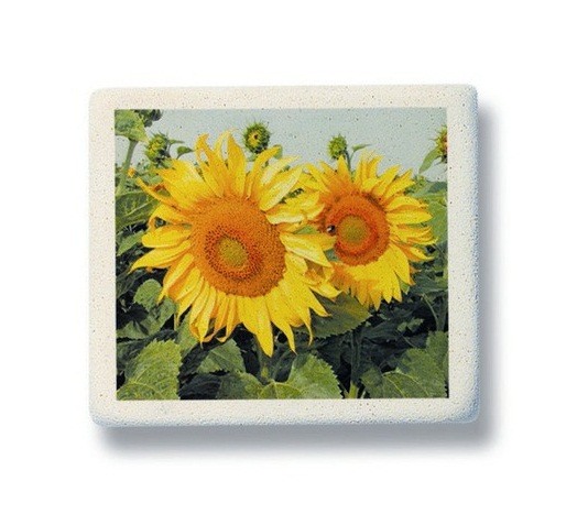 Pryž 300/20 měkká s potiskem