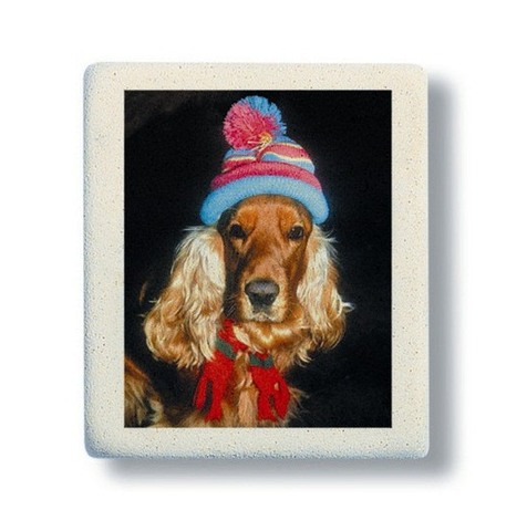 Pryž 300/40 s barev.potiskem