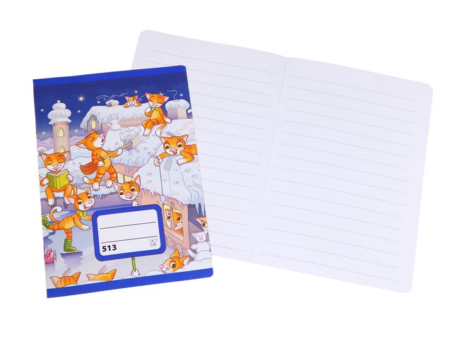 Sešit 513 Premium Junior A5 linka 3.třída 10l