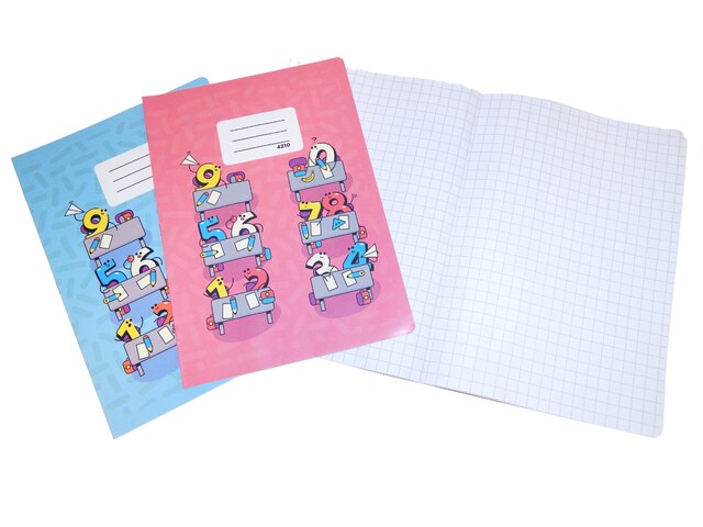 Sešit 4210 B na matematiku A4 čtvereček 10x10