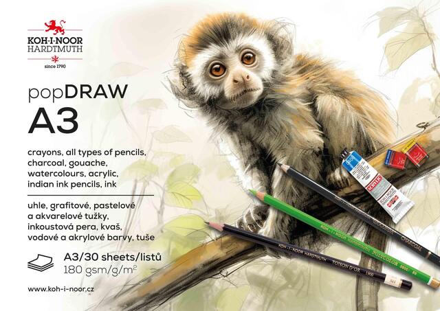 Blok 9920004 A3 DRAW