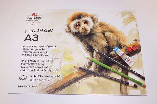 Blok 9920005 A4 DRAW