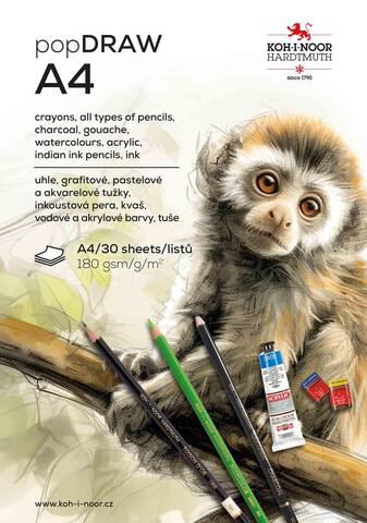 Blok 9920005 A4 DRAW