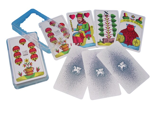 Karty 1512 Mariáš jednohlavý Plast